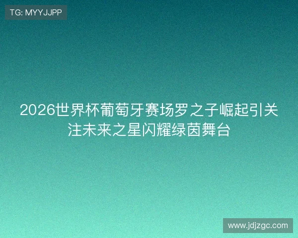 2026世界杯葡萄牙赛场罗之子崛起引关注未来之星闪耀绿茵舞台